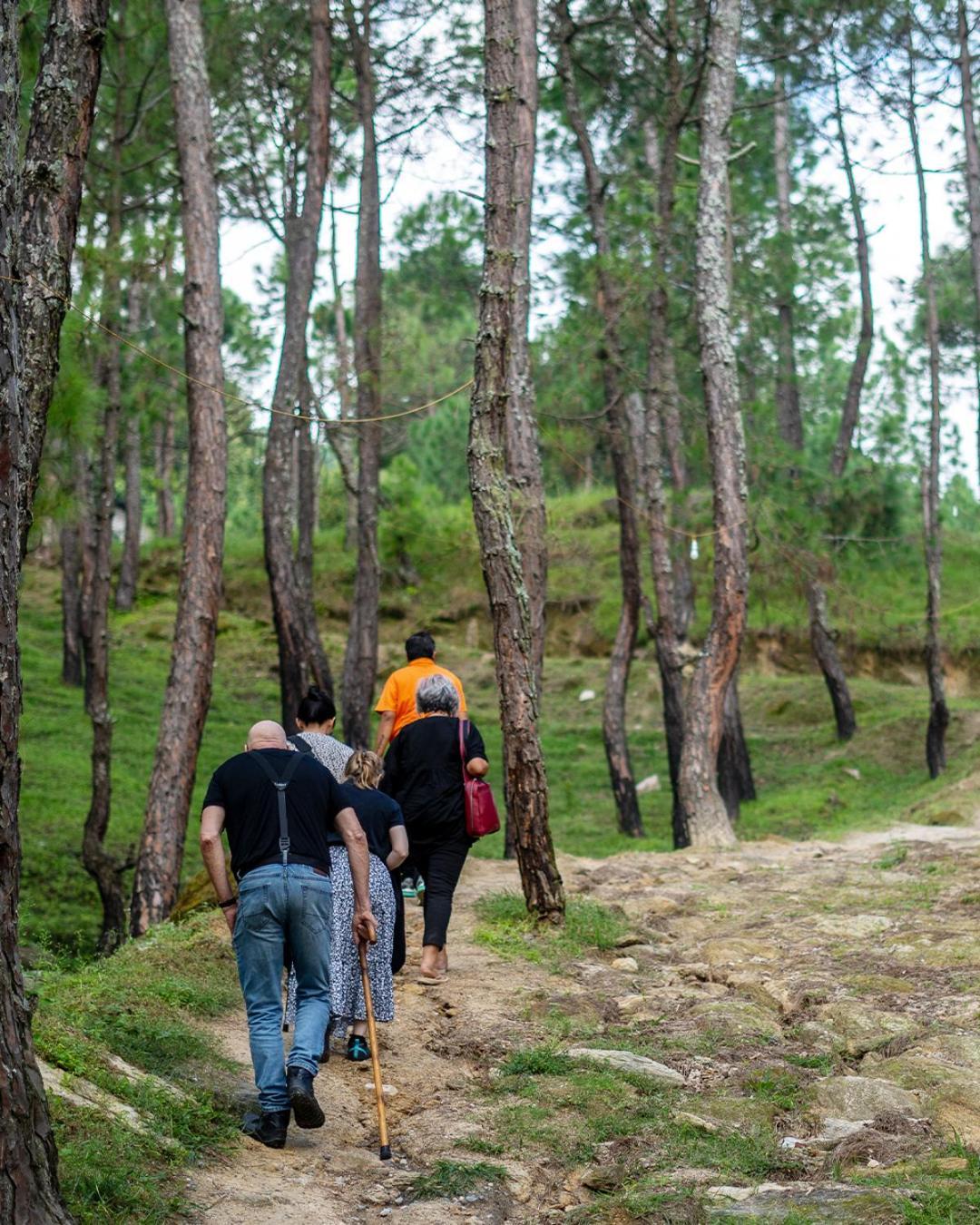 Seed At Queens Meadows, Ranikhet Exterior foto